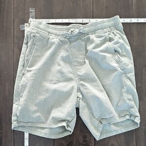 Hollister Men's Light Gray/green Athletic Shorts